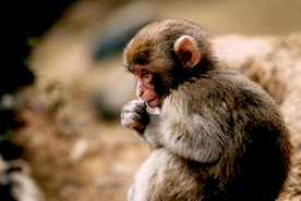 「人間も動物」動かずにいれば身体が衰える