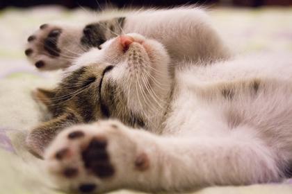 アナ骨で眠くなる?!