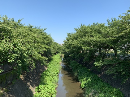 三沢川