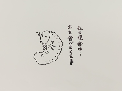 幼虫×成長