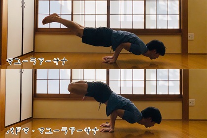 アーサナメモvol.32
マユーラアーサナ