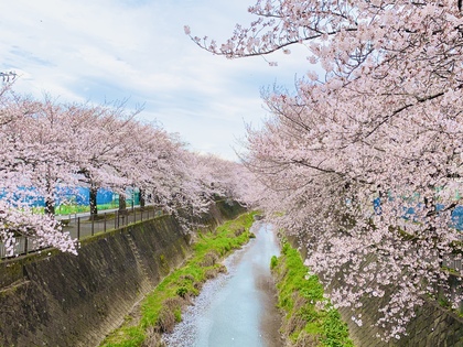 4月から