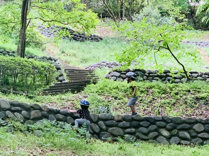 オンライン受けてみる