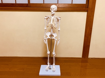 股関節ワークショップ