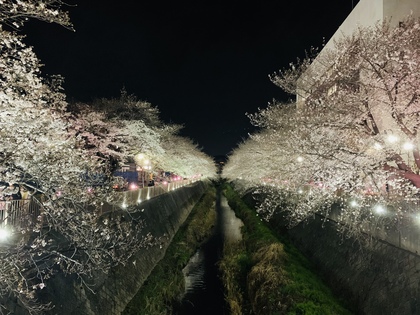 季節の変わり目