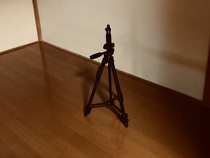 アナトミック骨盤ヨガ　アナ骨　オンラインヨガ　アームバランス　ハンドスタンド