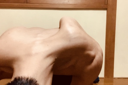 一石二鳥の作戦