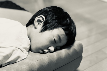 一瞬の季節に睡眠を賭ける