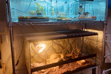 電気代　ギャップ