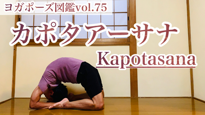 YouTube ヨガ