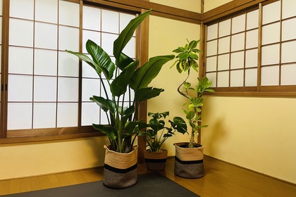 新入り達