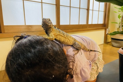 ベタ慣れバナナ